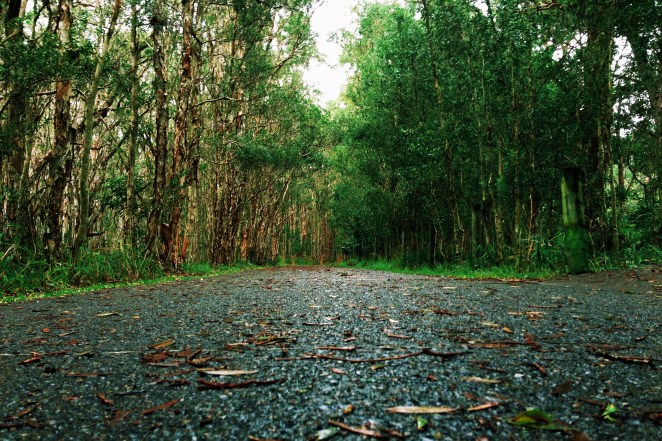 Photo 28-06-13 8 44 35 AM